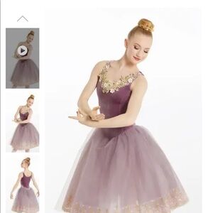 Gorgeous Weissman Ballet Costume - worn once!  Child large